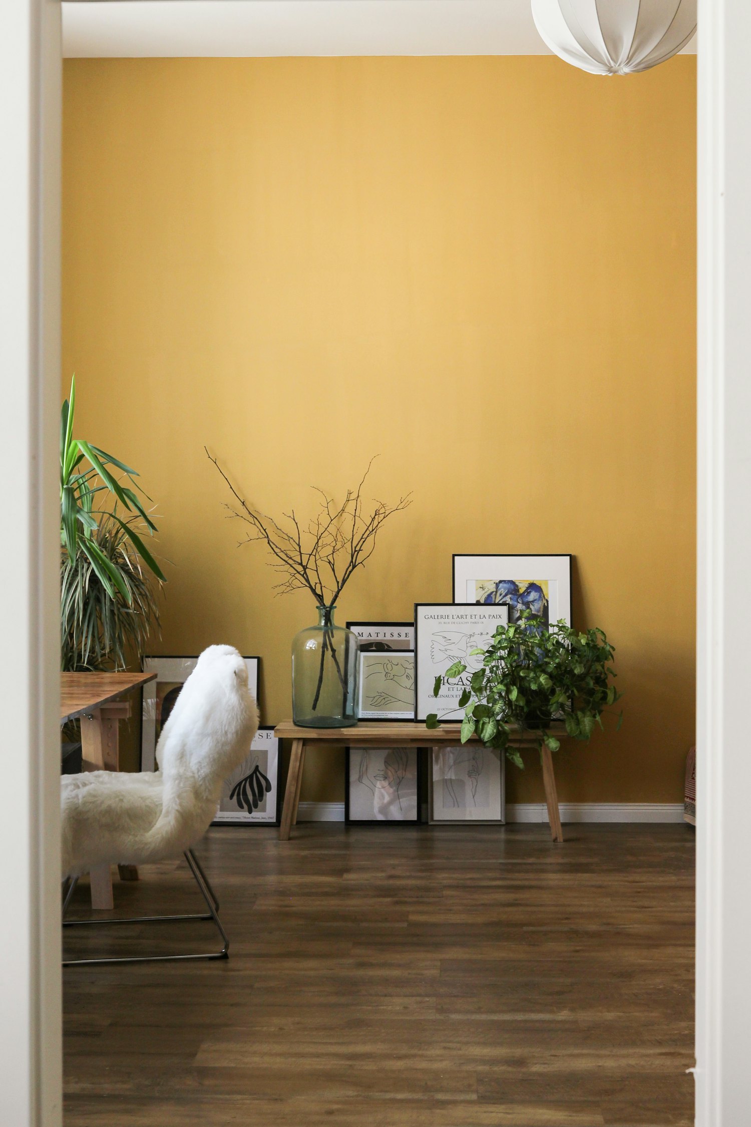 A freshly painted warm ochre feature wall with styled timber shelving