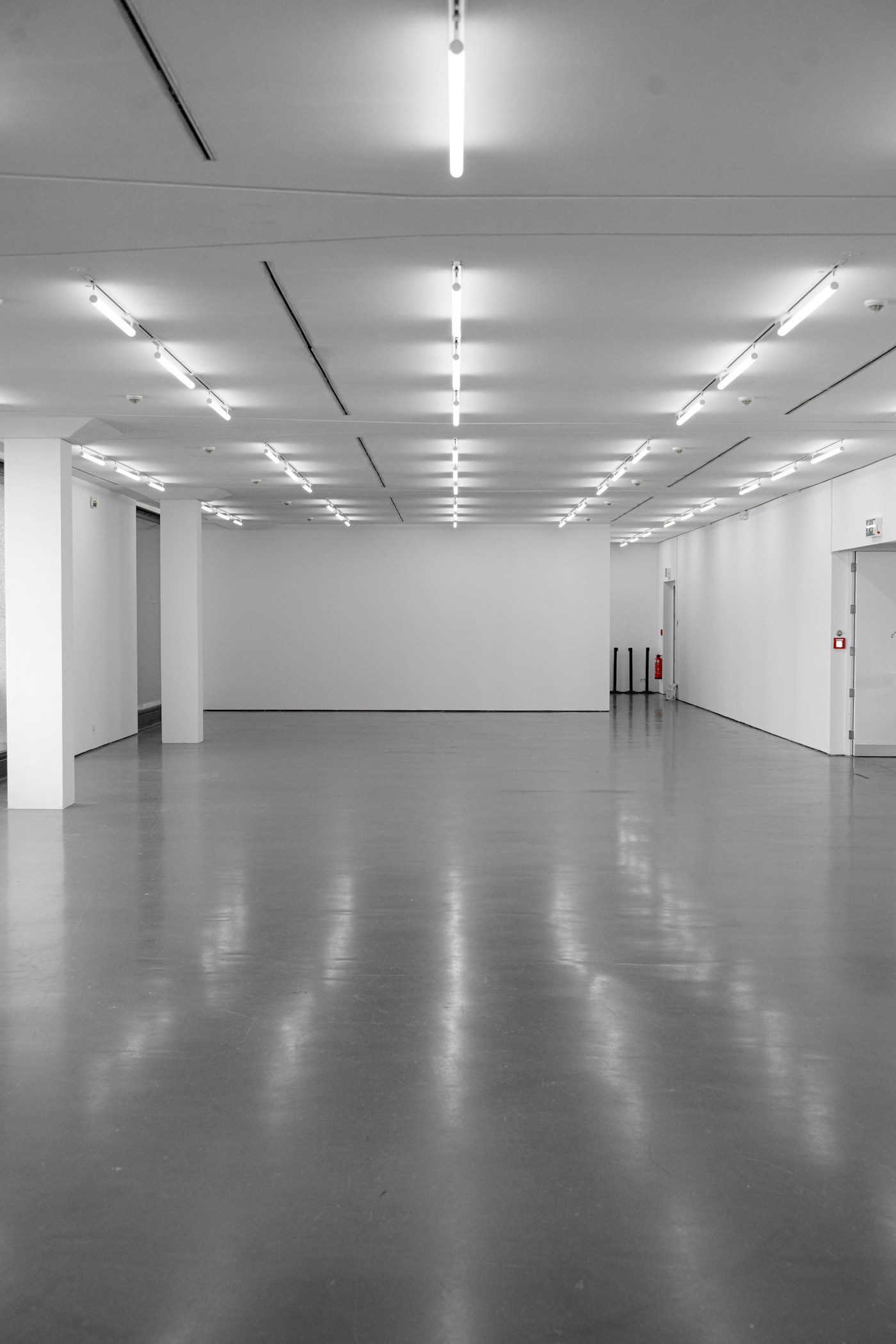 A bright retail space with a smooth, light-grey polished concrete floor reflecting the ceiling lights.